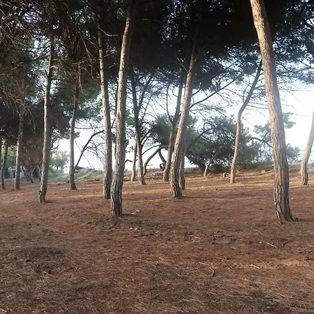 Villaggio Europa Unita * Silvi Marina